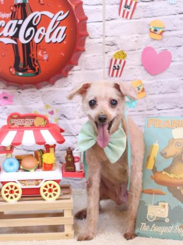 20230928モコくん